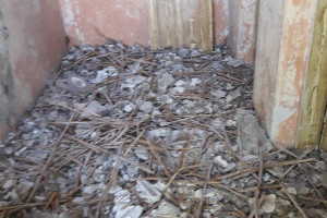 Виж снимка 3 Снимка номер 3 за Кърти чисти извозва
