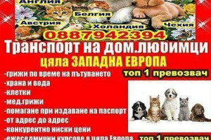 Виж снимка 2 Снимка номер 2 за Транспорт западна европа