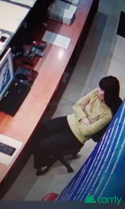 Снимка номер 1 за Курсови работи, дипломни работи, пкс, тези, теми, реферати