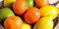Снимка номер 2 за Цитрусови дръвчета микс