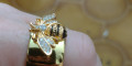 Снимка номер 3 за Пръстен пчела с мед