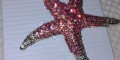 Снимка номер 1 за Брошка Морска звезда нова