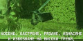 Снимка номер 1 за Косене на трева,рязане на храсти и дървета, разчистване на т