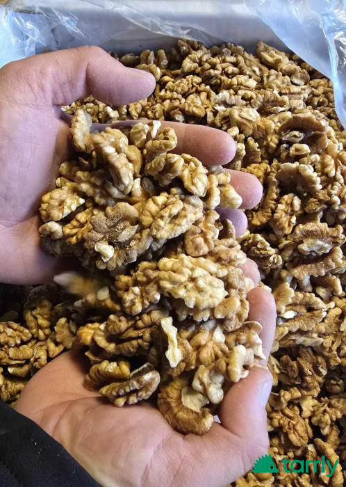 Снимка номер 1 за Орехови ядки Микс Реколта 2025