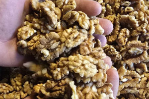 Снимка номер 1 за Орехови ядки Микс Реколта 2025