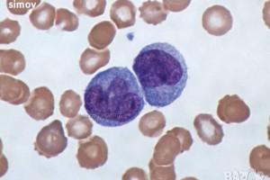 Снимка номер 1 за Азур-еозин по Романовски 99 прах-багрило за микроскопскопия.