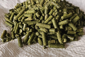 Снимка номер 1 за Хранителна добавка за животни, пелети от листа на черница