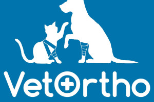 Снимка номер 1 за Ветеринарна Клиника София - VetOrtho